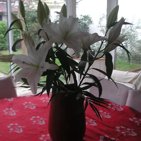 Le Clos Previnquieres Bed & Breakfast 3*